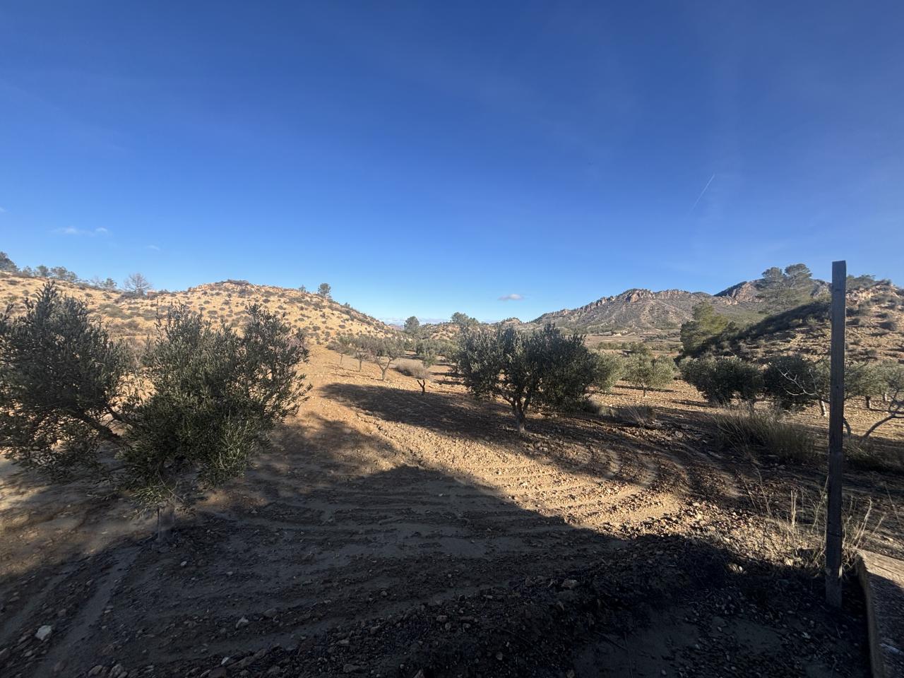  Finca secano, término de Cieza ref. 038